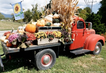 A red vintage truck is parked on grass, loaded with an assortment of pumpkins, gourds, and vibrant flowers. Corn stalks are also piled high in the truck bed. There is a flag featuring a sunflower attached to the truck. The background includes some greenery, trees, and a road with a mountain and a cloudy sky in the distance.