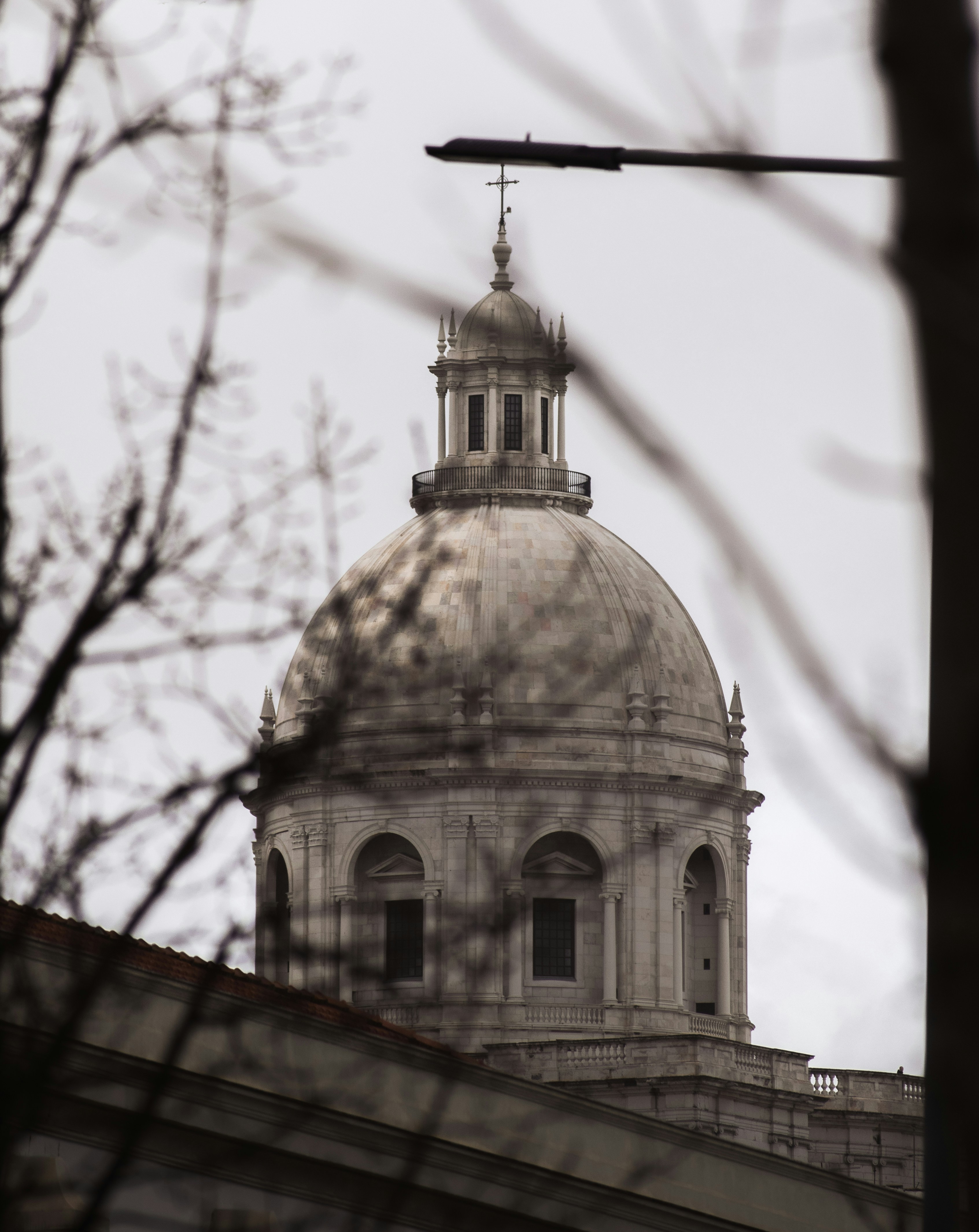 Photo by sebaslaverde_nkn