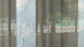 A semi-transparent surface reveals a scene with trees, a street, and people walking. The image appears layered with reflections and diffused light.