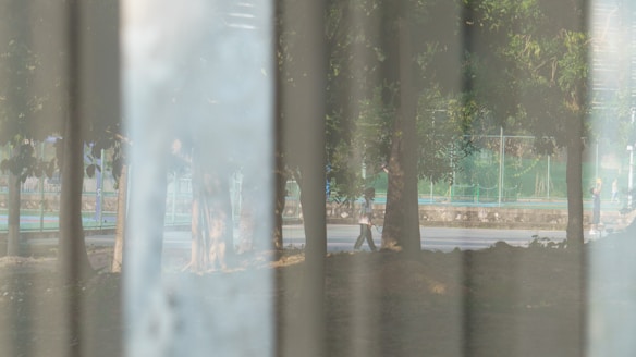 A semi-transparent surface reveals a scene with trees, a street, and people walking. The image appears layered with reflections and diffused light.