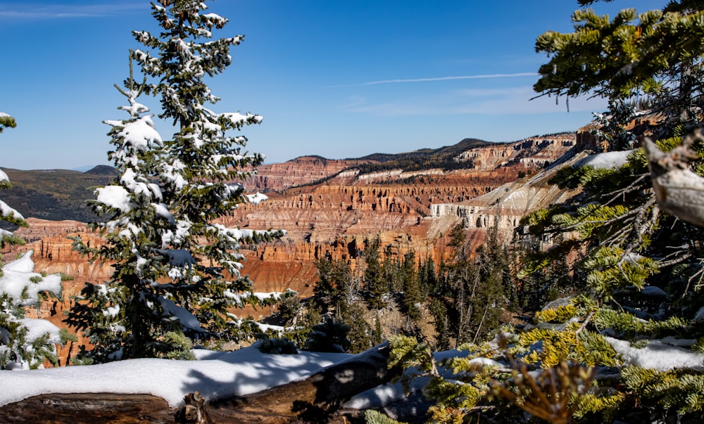 a view of the canyon from a high point of view