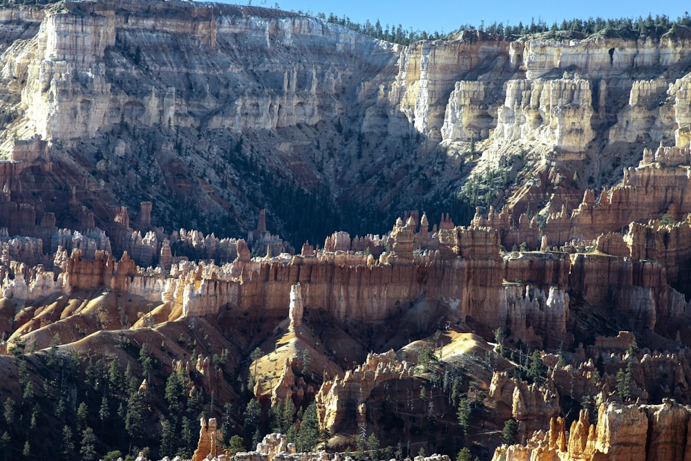 a view of a mountain range with a forest in the foreground