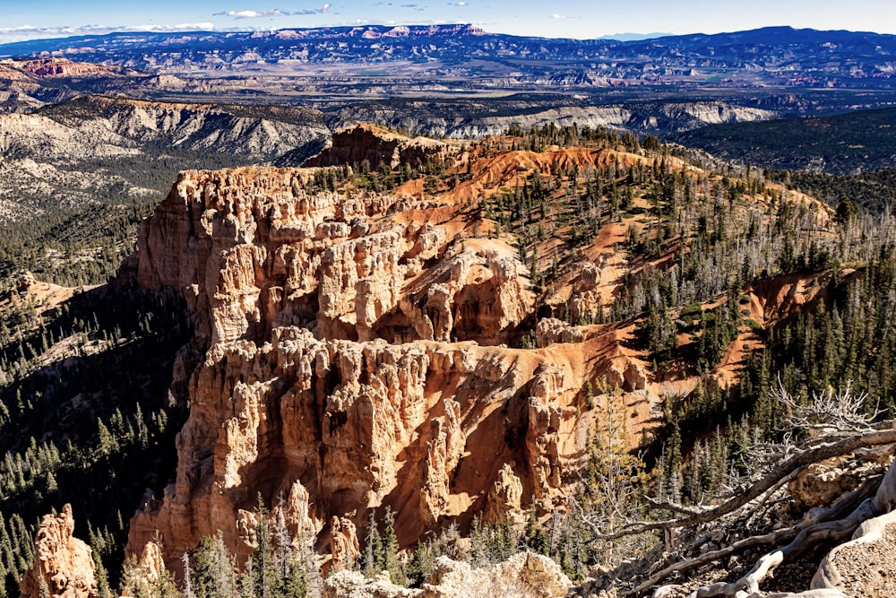 a view of the mountains and trees from the top of a mountain