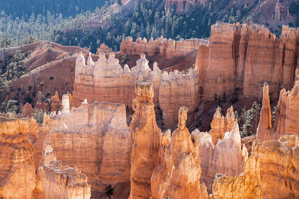 a large group of rock formations with trees in the background
