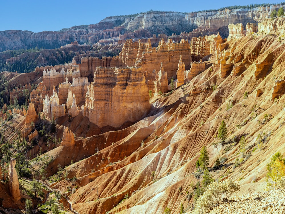 a scenic view of a canyon in the mountains