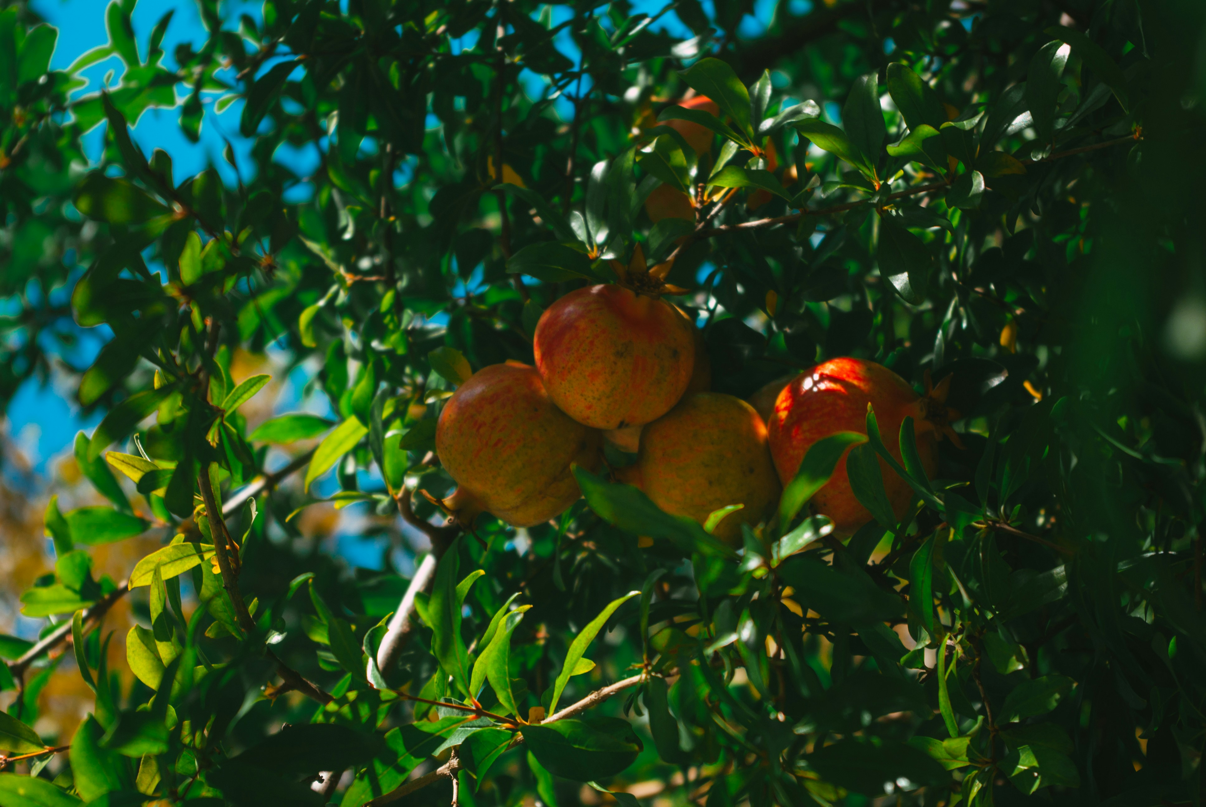 Photo by moonmoons_days