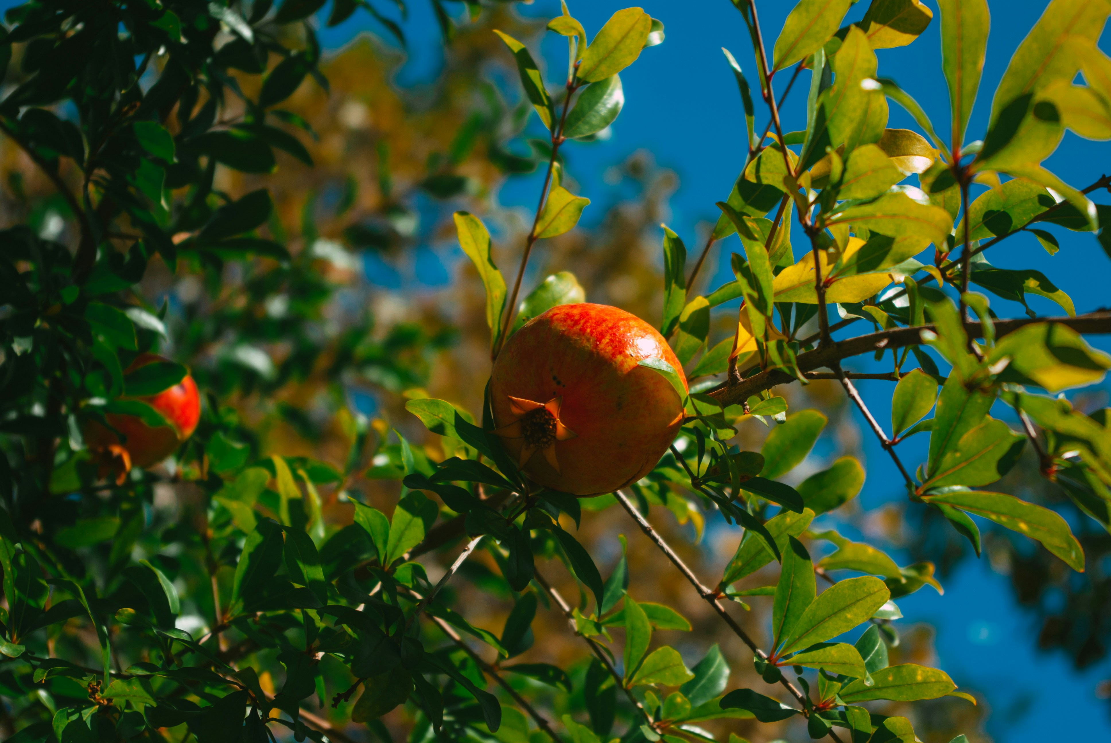 Photo by moonmoons_days