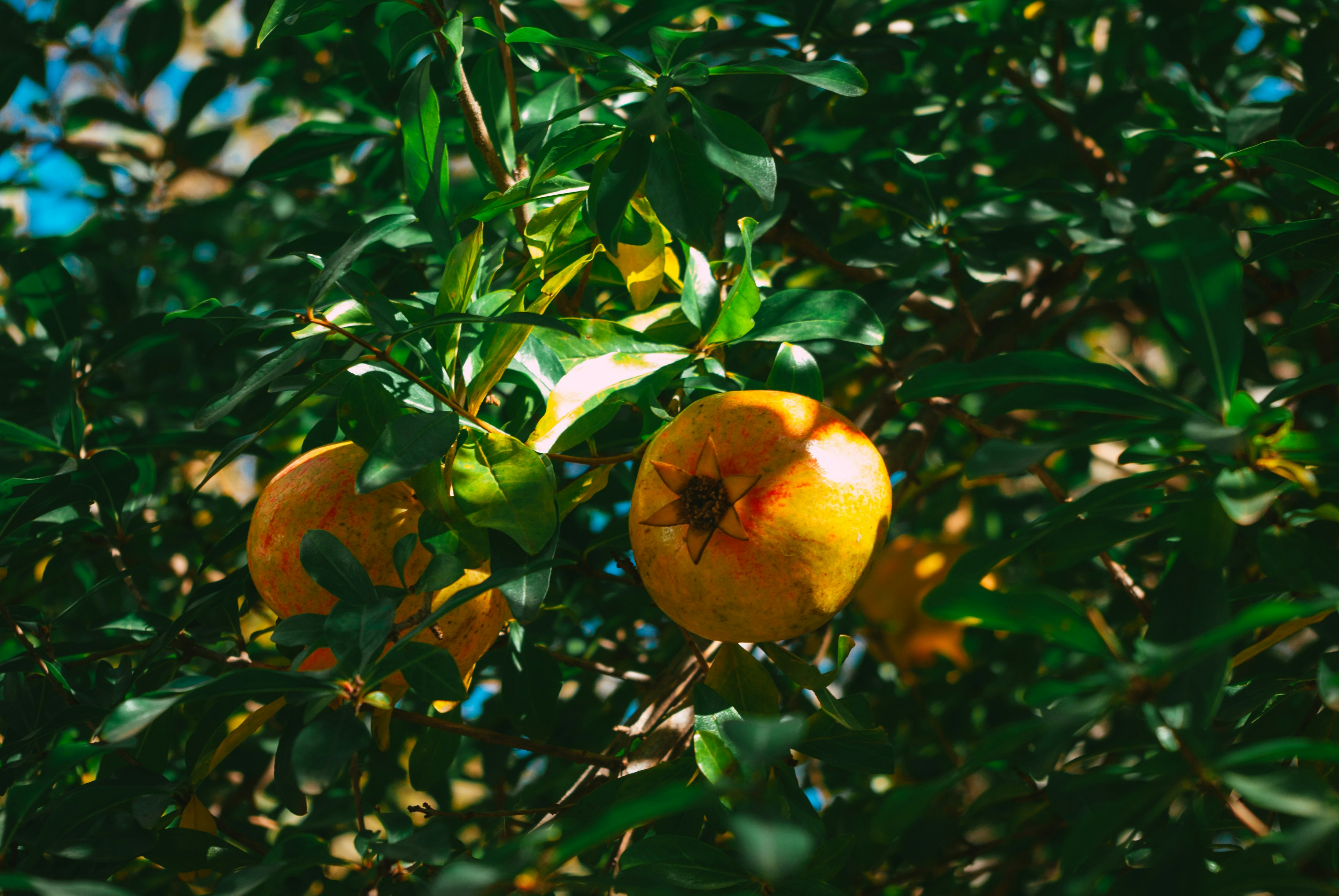 Photo by moonmoons_days