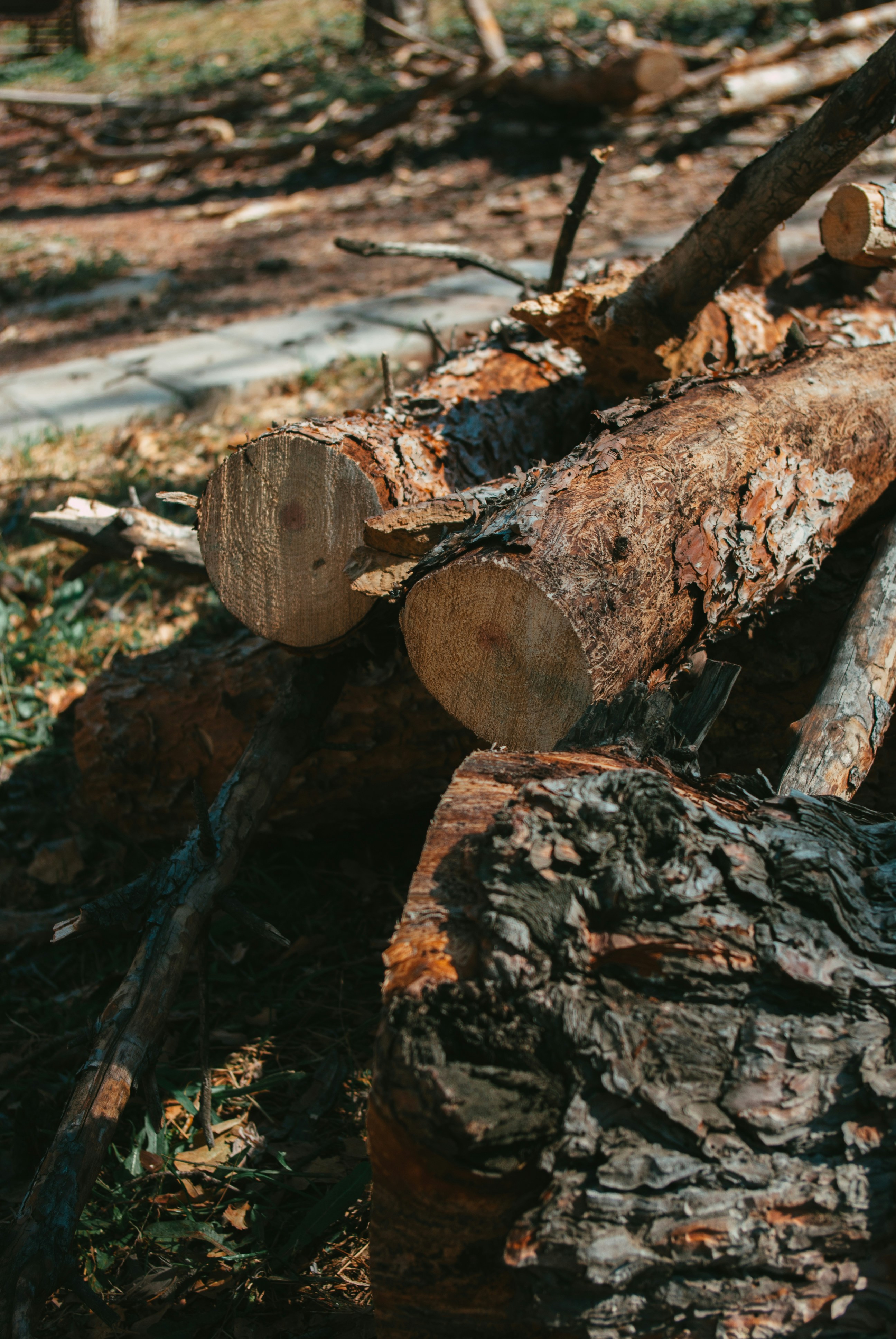 Photo by moonmoons_days