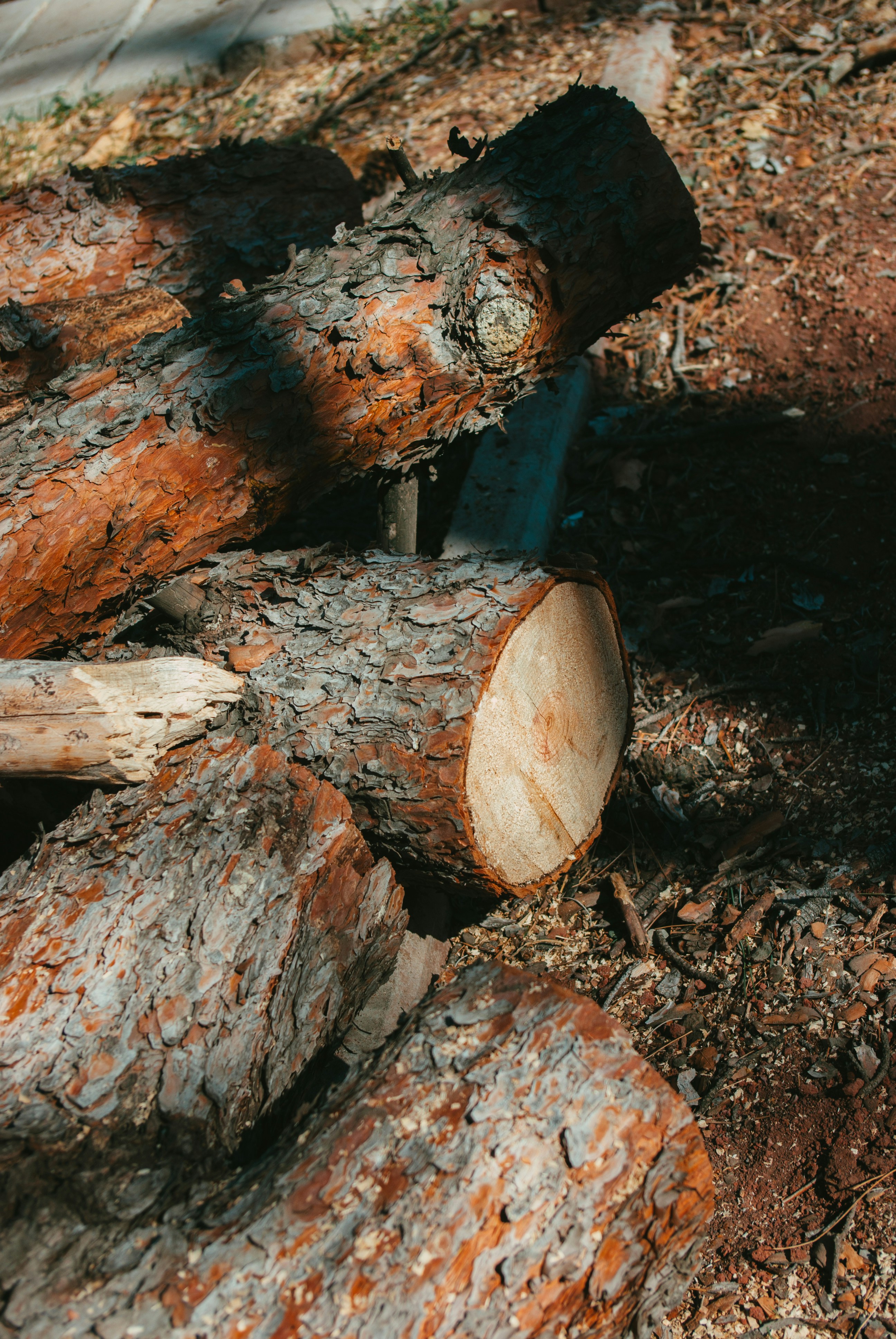 Réparation d'une fissure dans le bois d'un chalet