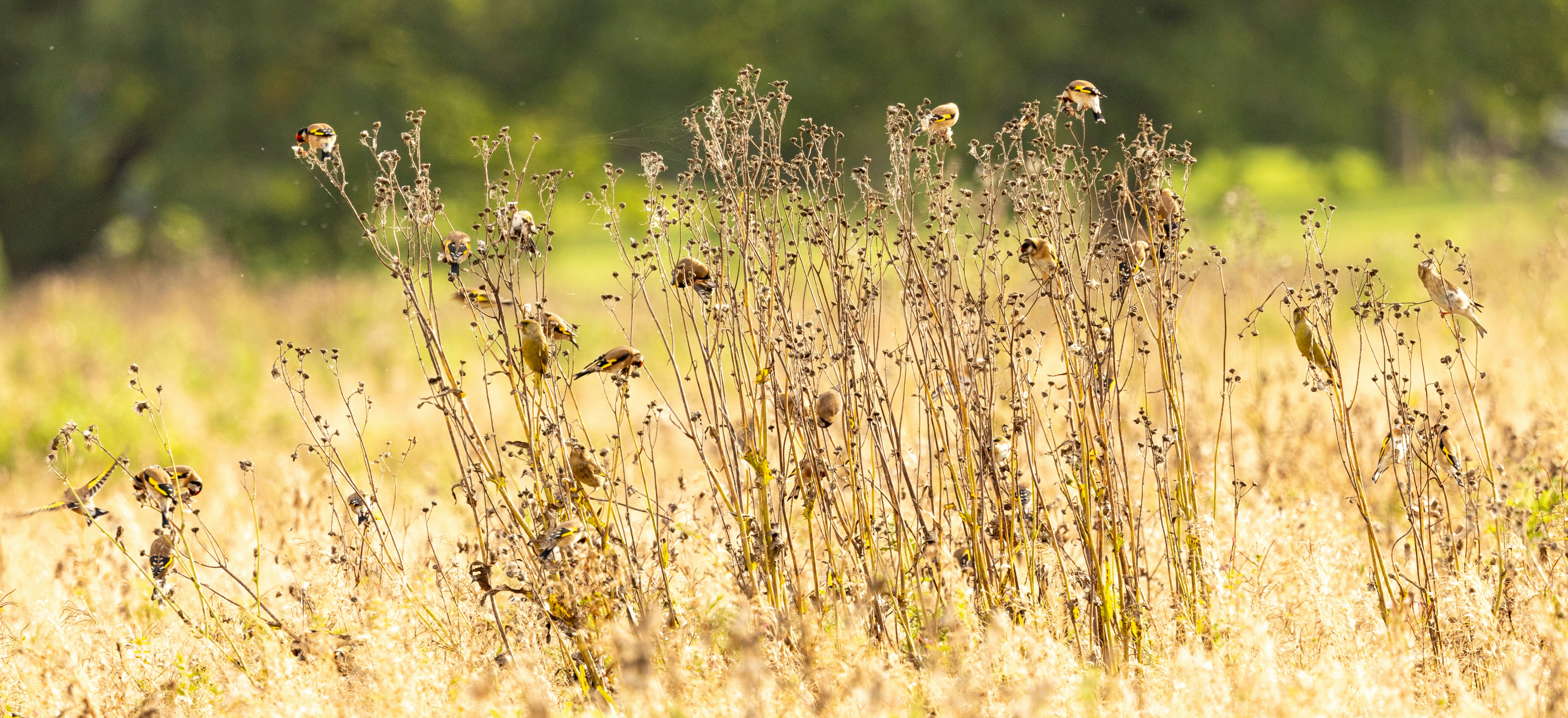 Photo by heather_wilde