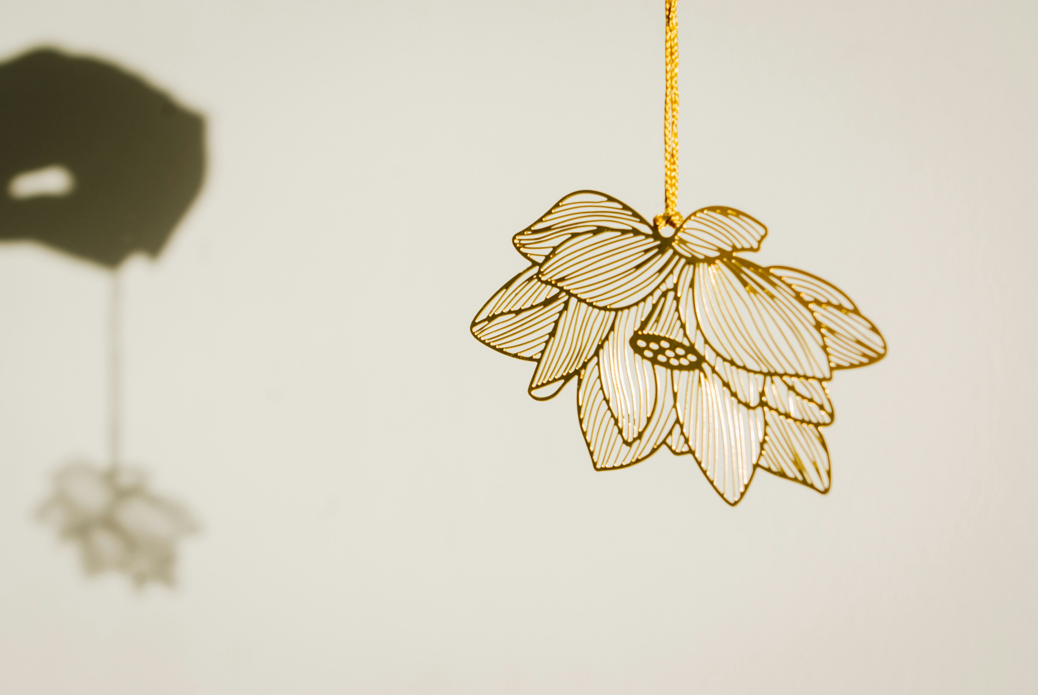 Photo by moonmoons_days