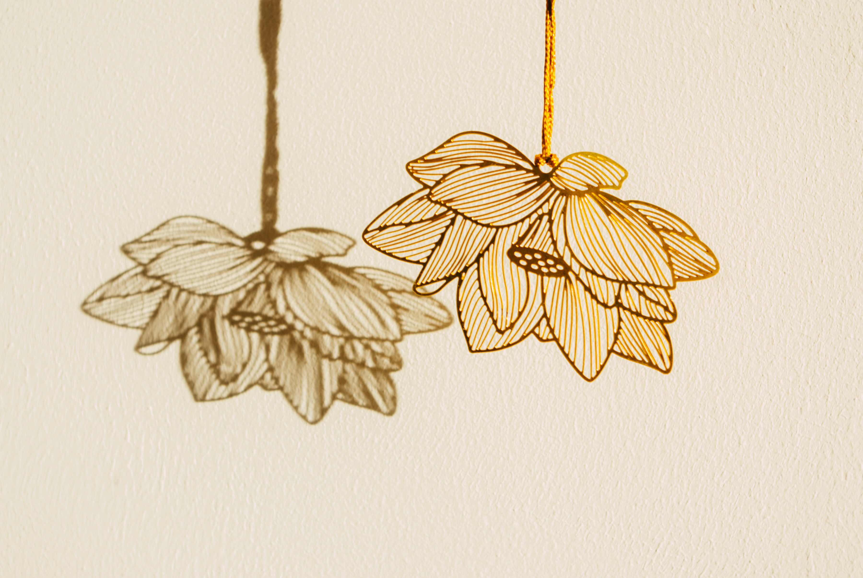 Photo by moonmoons_days