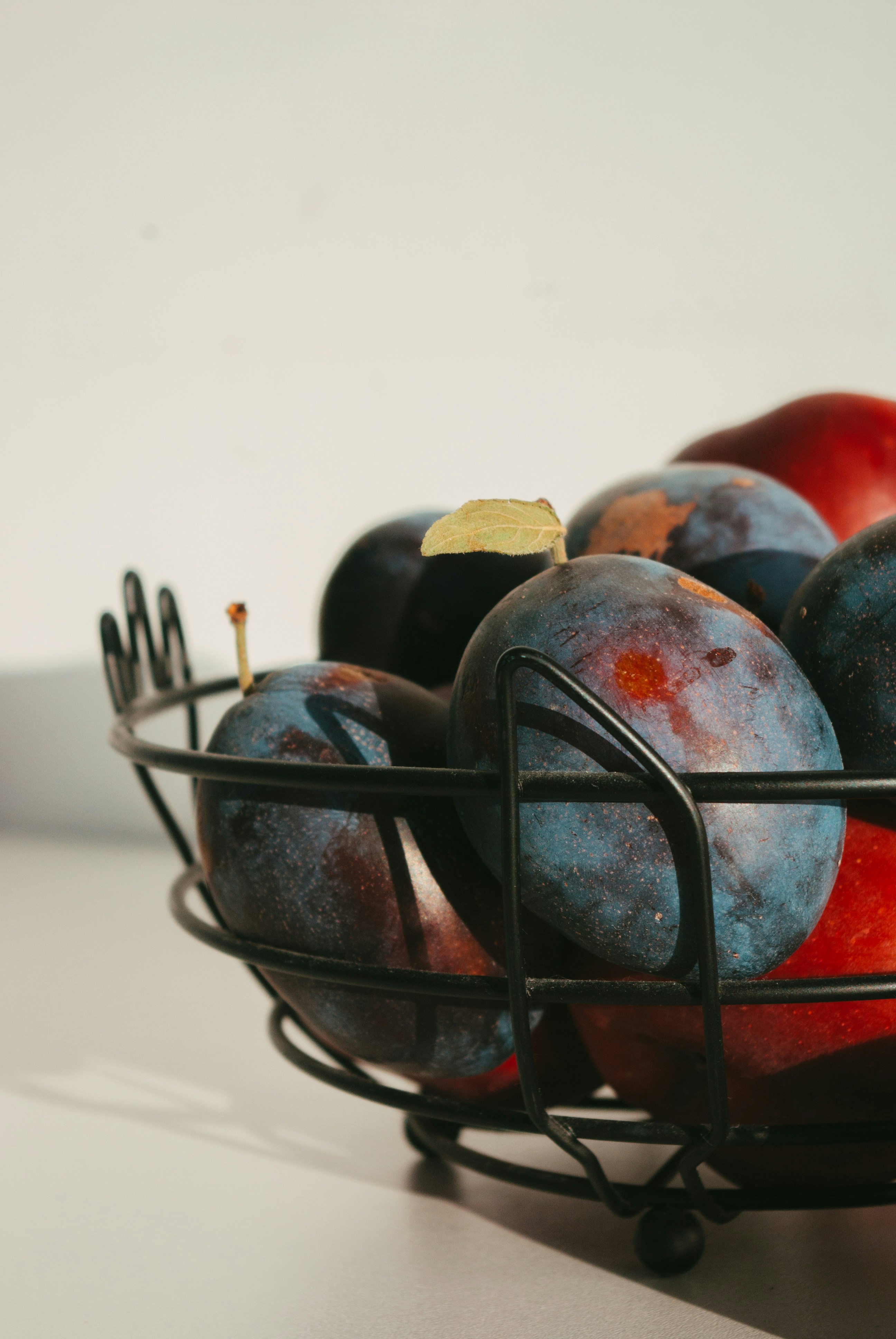 Photo by moonmoons_days