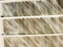 Sunlight filtering through a warehouse filled with neatly arranged rosewood and teak logs.