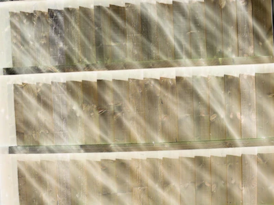 Sunlight streaming through a wooden plastic door highlighting the fine grain and texture.