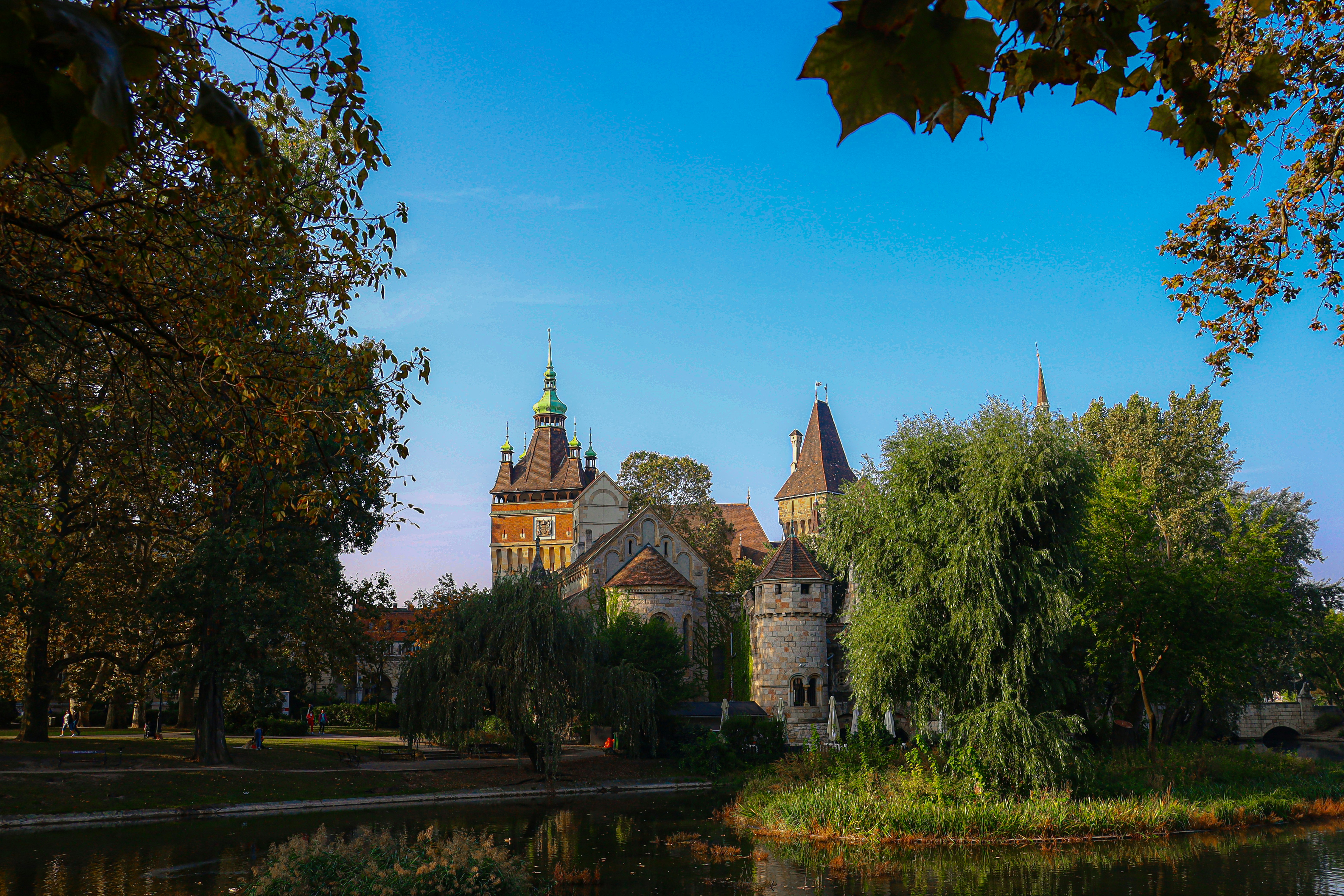 Photo by pappadamfoto