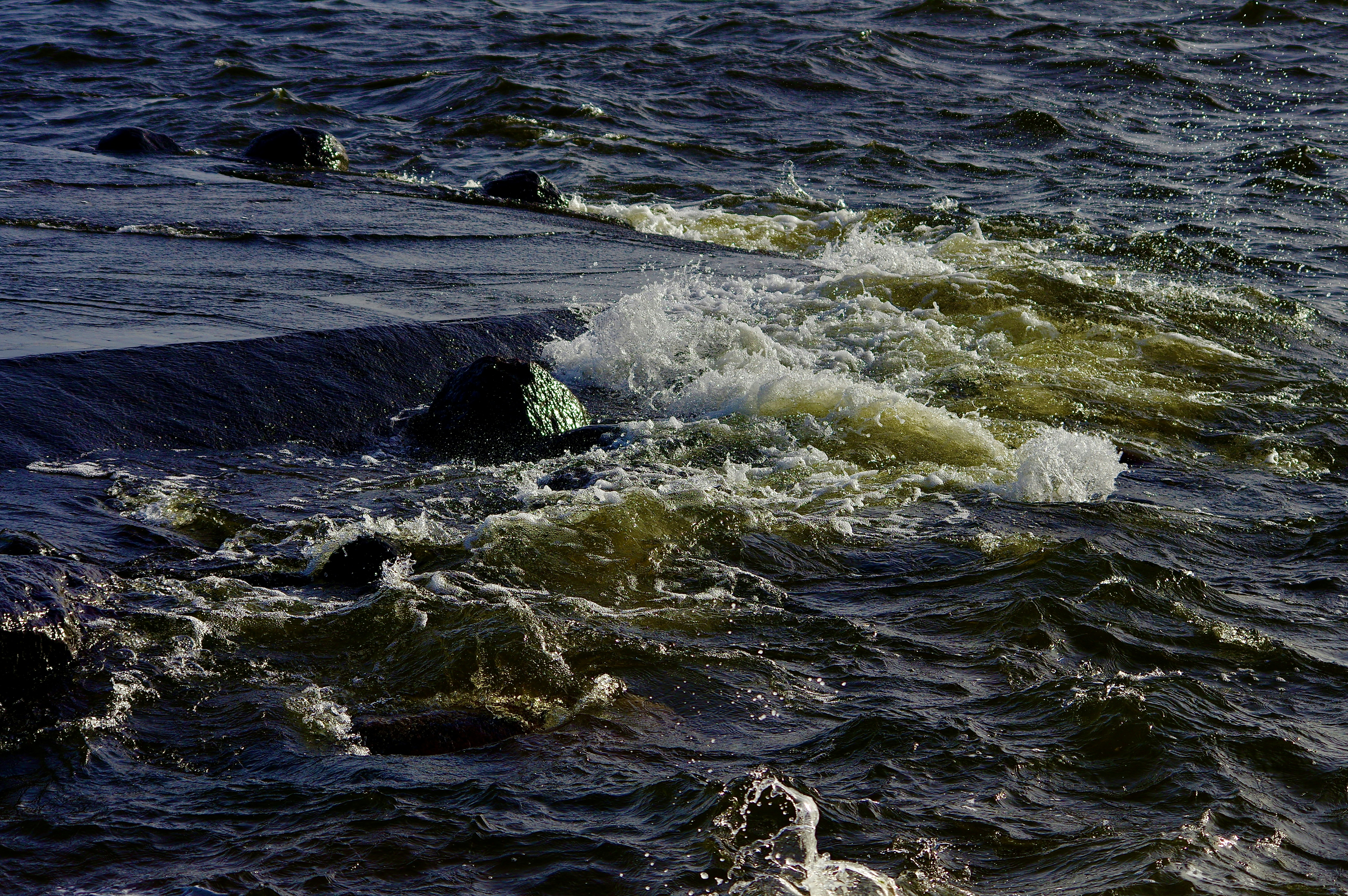 a bird is sitting on the edge of the water