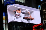 A large digital billboard displays a realistic 3D image of a calico cat lying cozily. The cat appears to be sleeping, tucked within an inset space on the screen, giving the impression of depth. Surrounding the billboard are various signs with Japanese characters, indicating an urban setting, likely in a busy district.