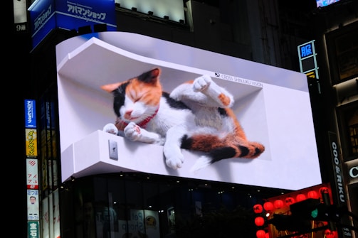 A large digital billboard displays a realistic 3D image of a calico cat lying cozily. The cat appears to be sleeping, tucked within an inset space on the screen, giving the impression of depth. Surrounding the billboard are various signs with Japanese characters, indicating an urban setting, likely in a busy district.