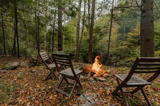 Four wooden chairs are arranged in a semicircle around a small campfire in a dense forest setting. The ground is covered with fallen leaves, rocks, and the surrounding trees are lush and green, suggesting a serene and natural environment.