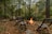Four wooden chairs are arranged in a semicircle around a small campfire in a dense forest setting. The ground is covered with fallen leaves, rocks, and the surrounding trees are lush and green, suggesting a serene and natural environment.
