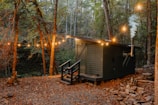 a small cabin in the middle of a forest