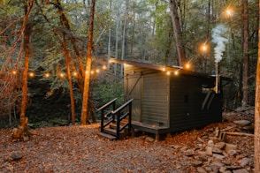 a small cabin in the middle of a forest