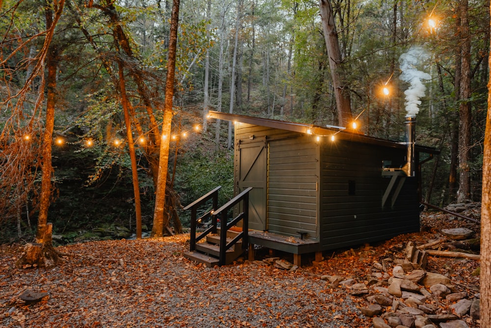 a small cabin in the middle of a forest