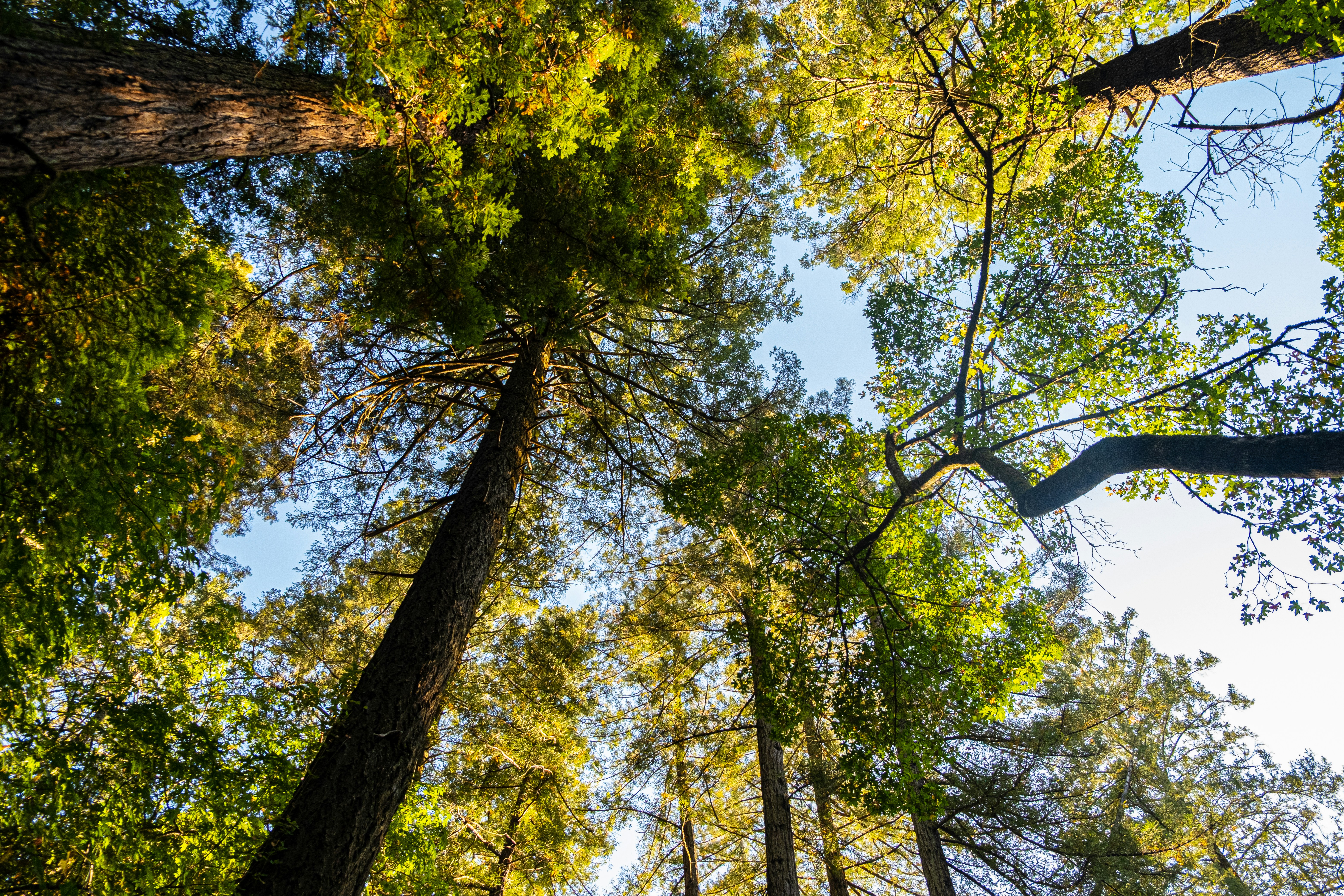 Photo by mo_design_3d