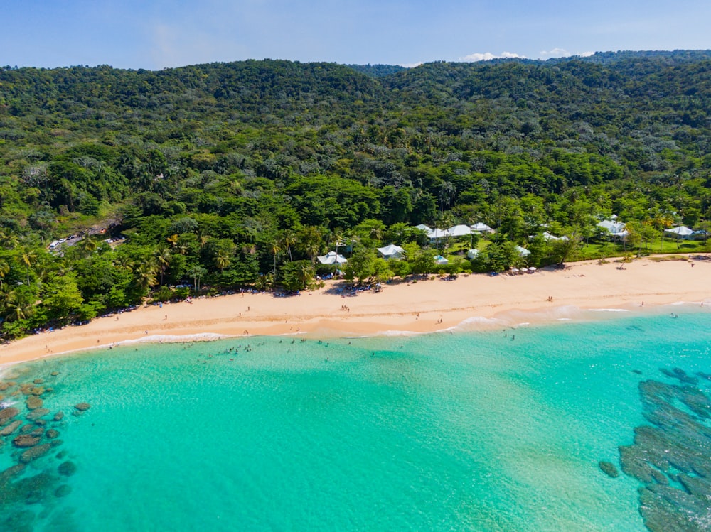 an aerial view of a sandy beach surrounded by trees