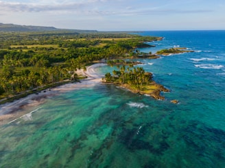 an aerial view of a beach and ocean