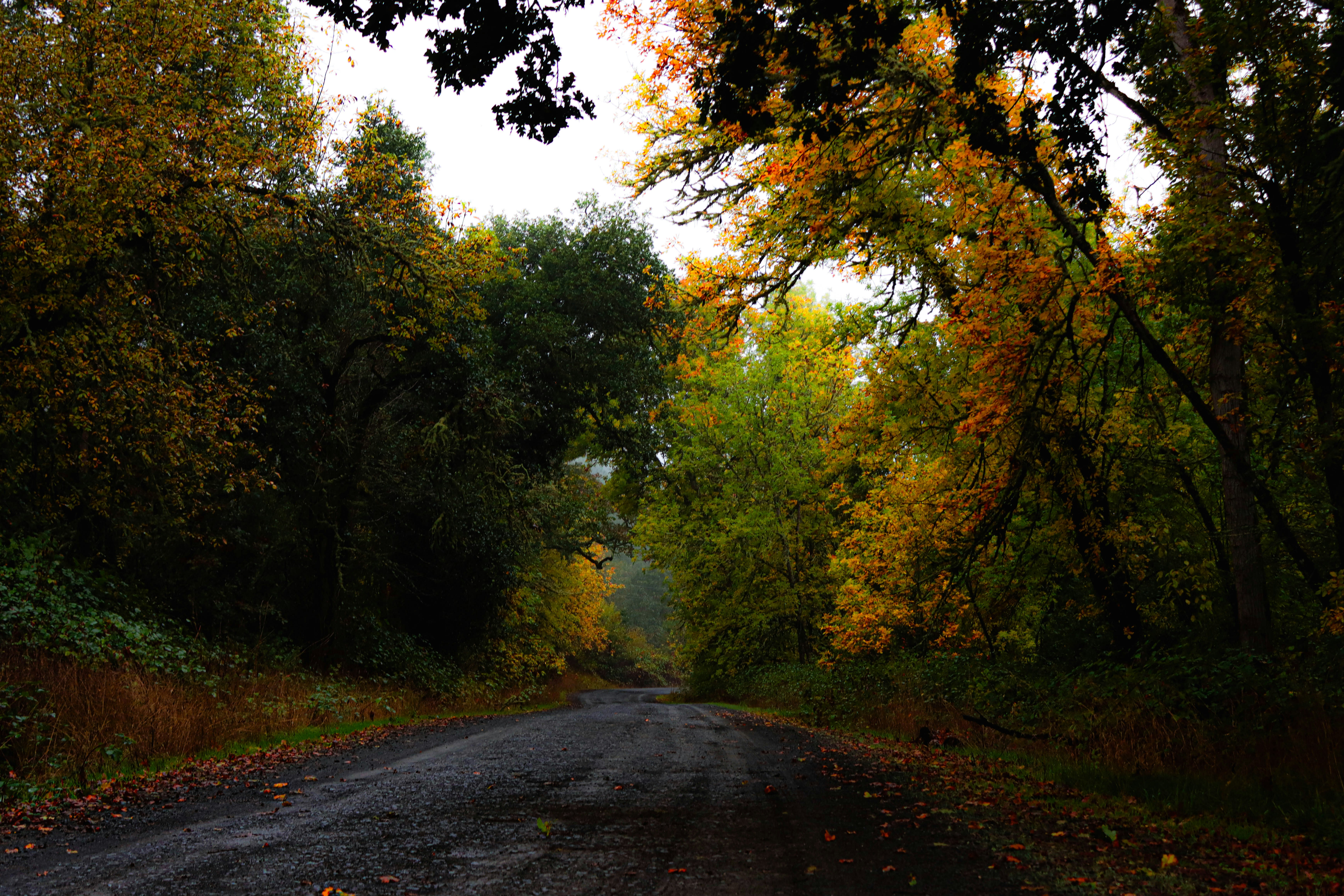 Photo by davidjboozer