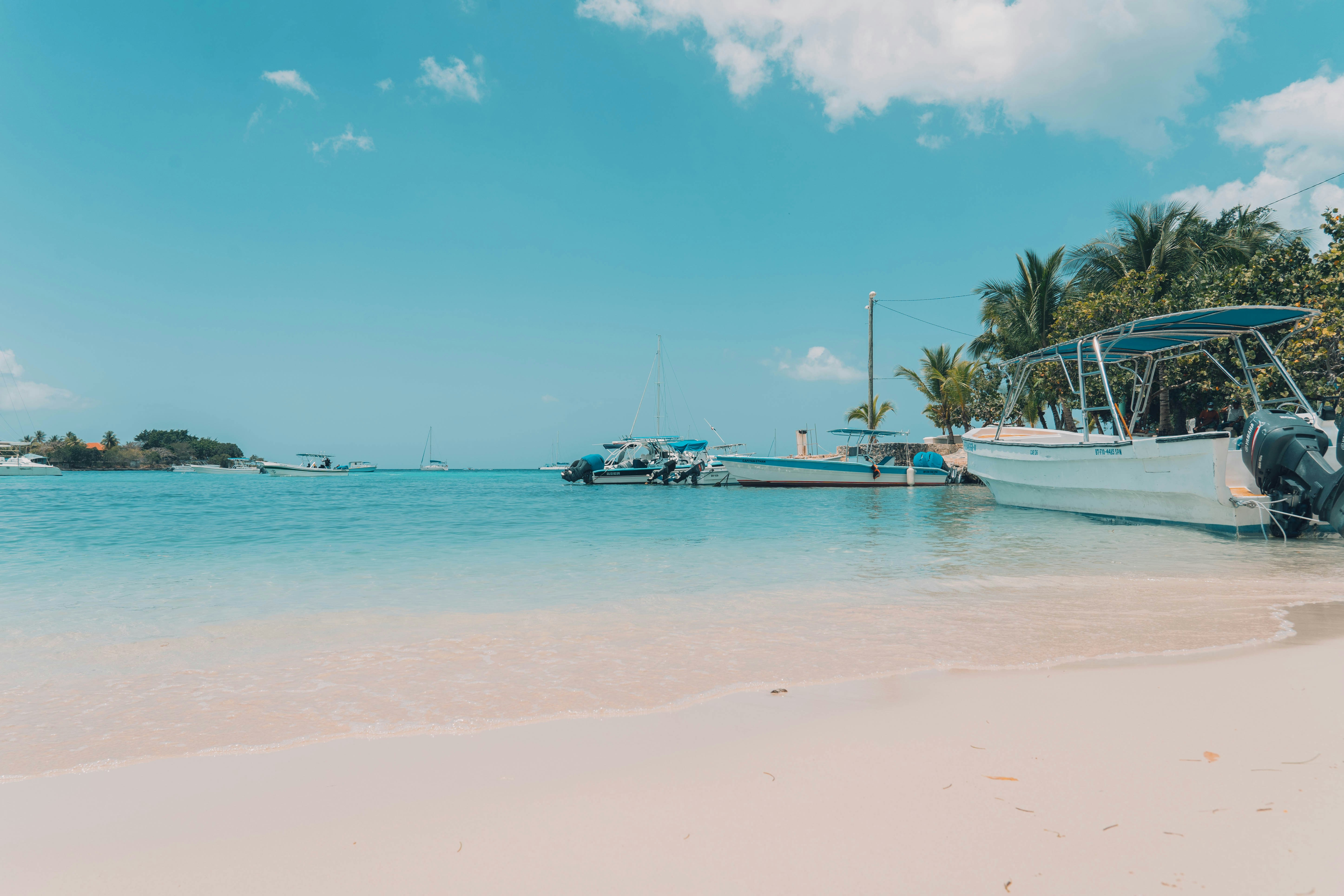 una playa con barcas y palmeras al fondo