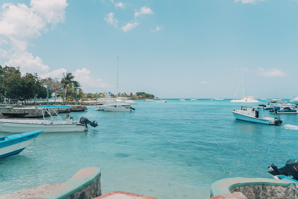 a bunch of boats that are in the water