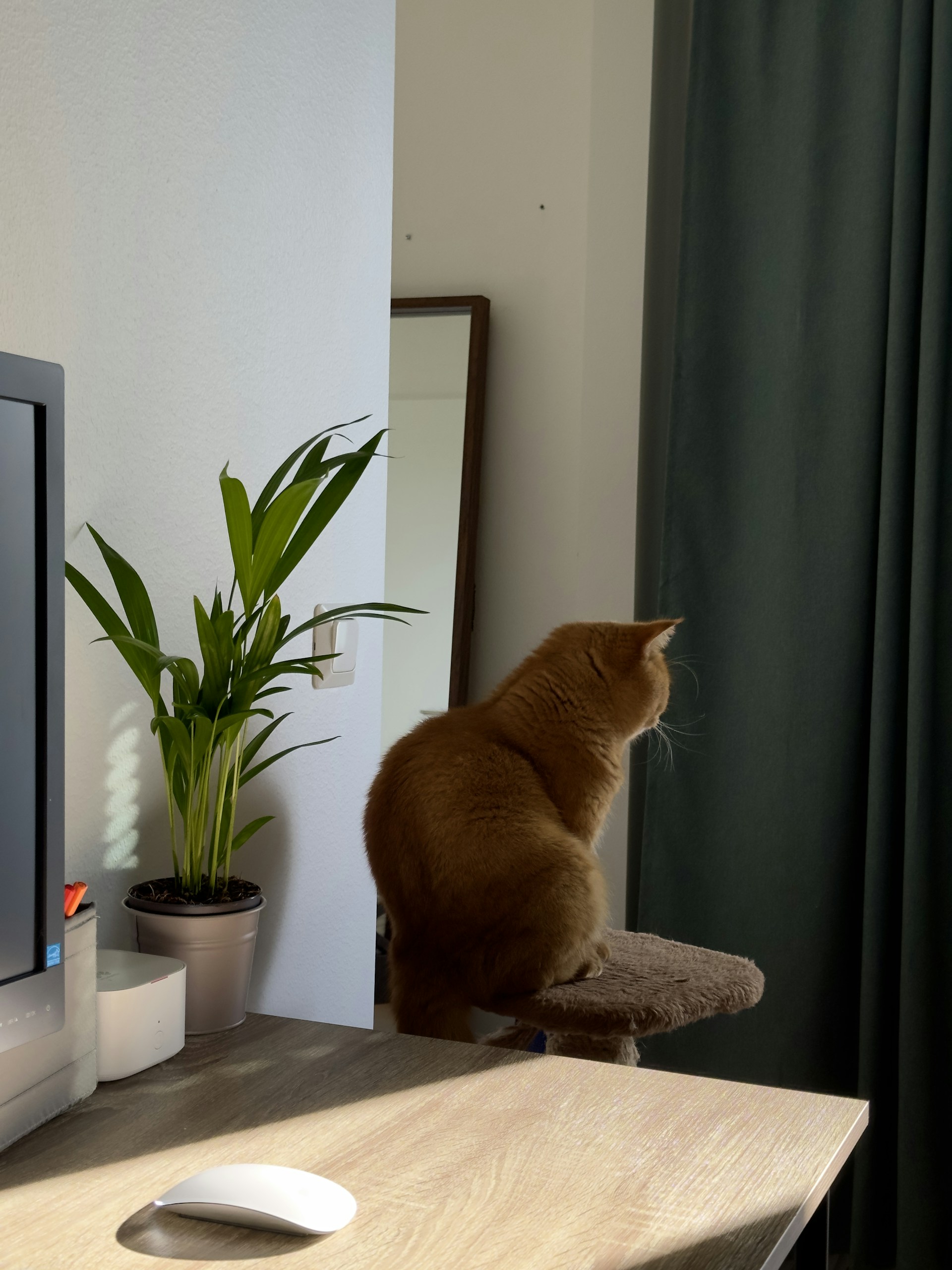 woman wearing yellow long-sleeved dress under white clouds and blue sky during daytime