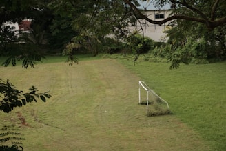 A grassy field with a worn-out soccer goal on one side, surrounded by lush, green trees. The goal is partially covered in overgrown grass, indicating infrequent use. Trees and foliage encircle the area, adding to the sense of a secluded, natural setting. A building with a blue roof is visible in the background.