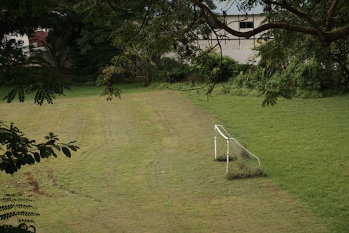 A grassy field with a worn-out soccer goal on one side, surrounded by lush, green trees. The goal is partially covered in overgrown grass, indicating infrequent use. Trees and foliage encircle the area, adding to the sense of a secluded, natural setting. A building with a blue roof is visible in the background.