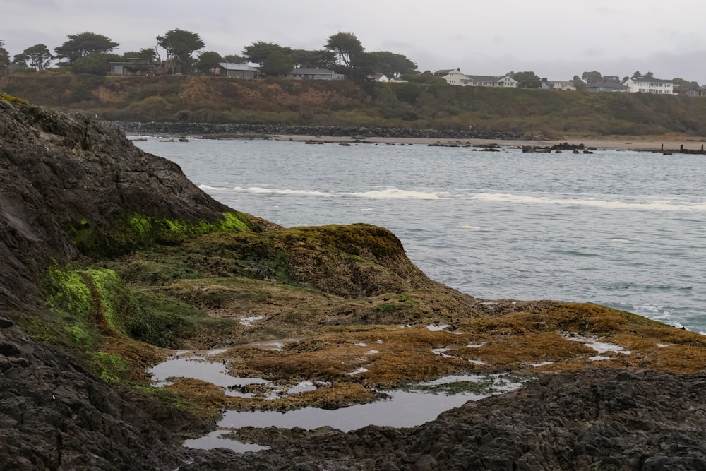 a body of water sitting next to a rocky shore