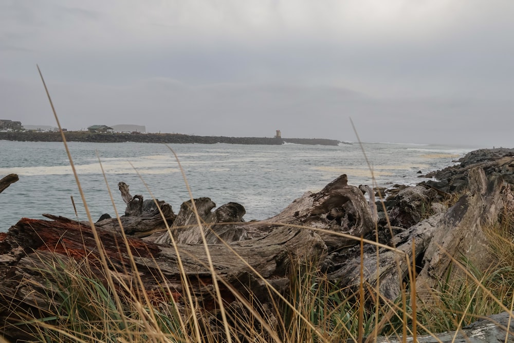 a view of a body of water with a boat in the distance