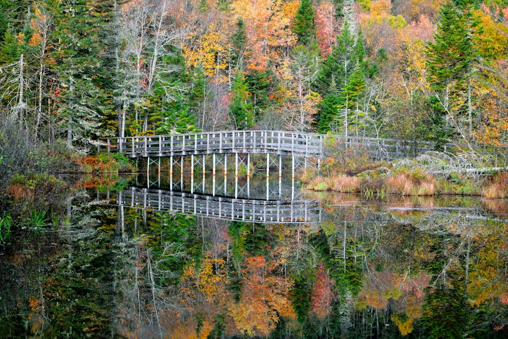 a wooden bridge over a body of water surrounded by trees