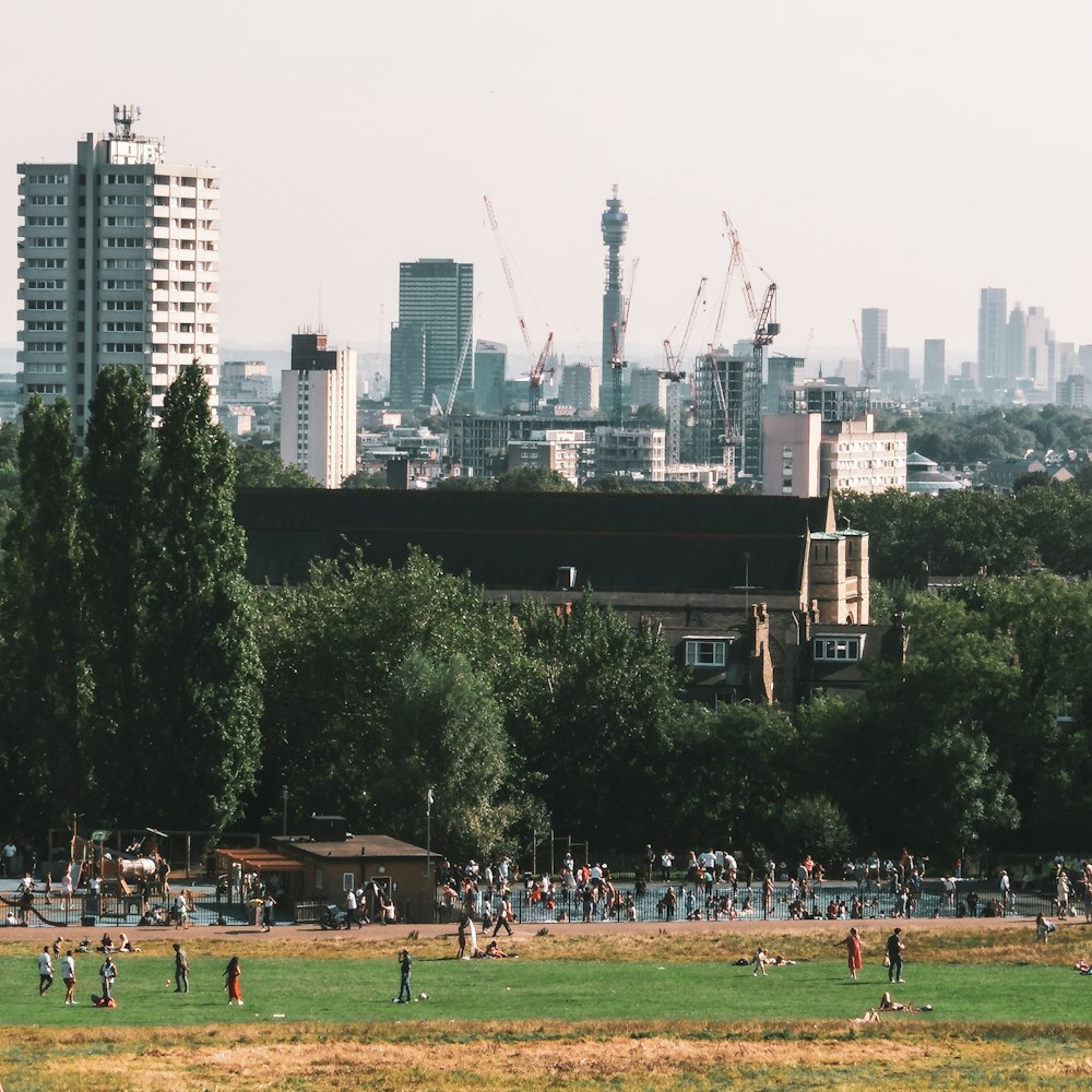 a group of people standing on top of a lush green field