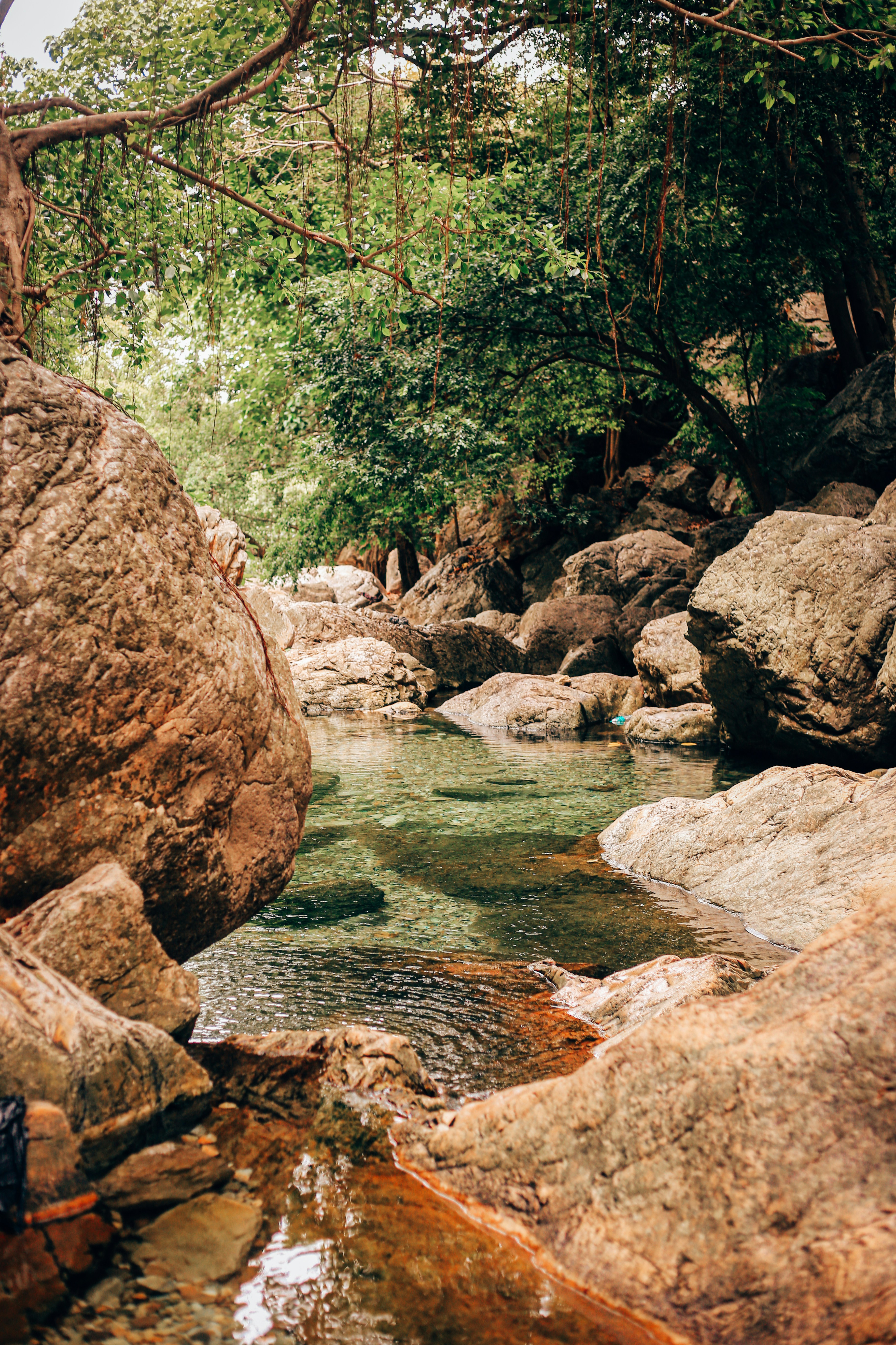 Photo by arununnikrishnan