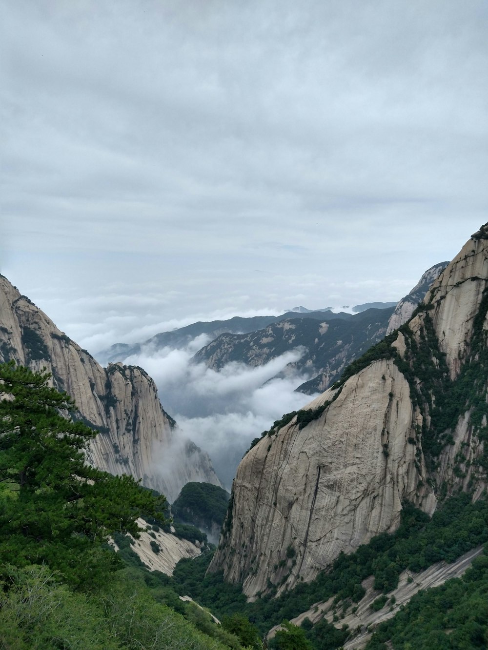 a view of a valley with mountains in the background