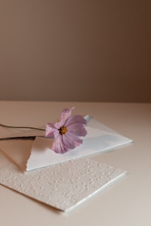 a pink flower sitting on top of a piece of paper