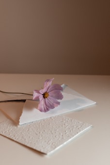 a pink flower sitting on top of a piece of paper