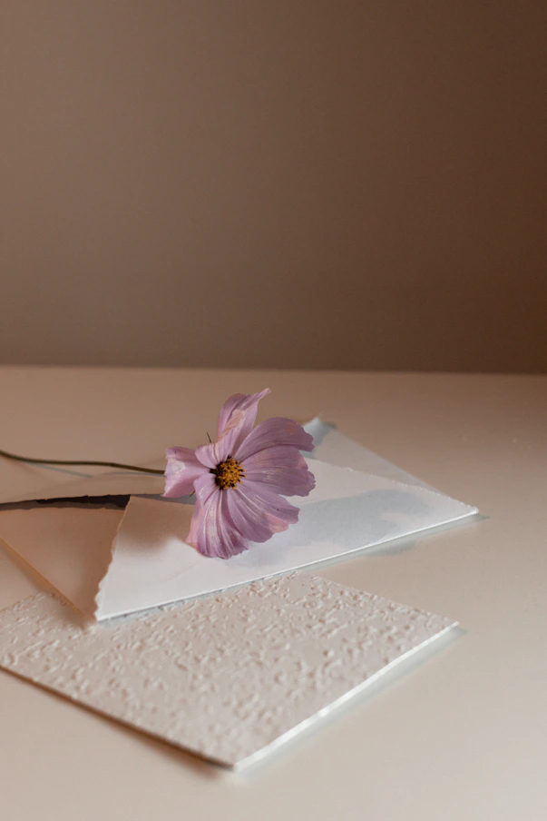 a pink flower sitting on top of a piece of paper