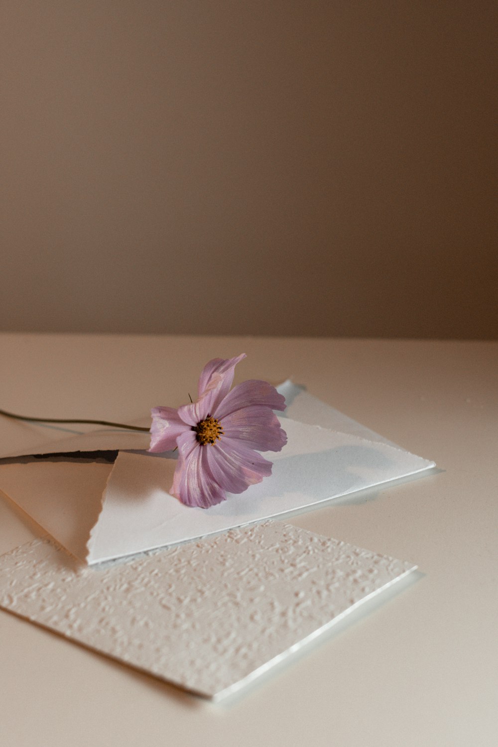 une fleur rose posée sur un morceau de papier