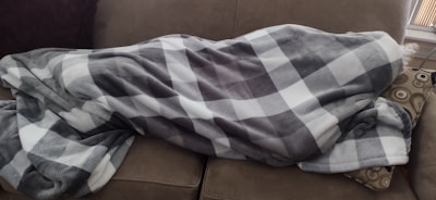 A couch is covered by a large, soft blanket with a checkered pattern in shades of gray and white. There is a decorative pillow with a circular design next to it.