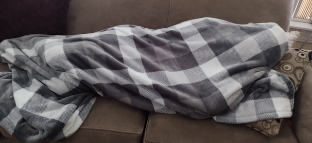 A couch is covered by a large, soft blanket with a checkered pattern in shades of gray and white. There is a decorative pillow with a circular design next to it.